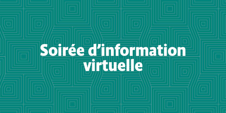Conférence d'information virtuelle à LISAA Animation & Jeu vidéo Paris