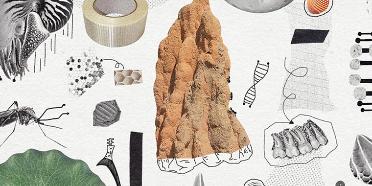 image-mastere-design-eco-social