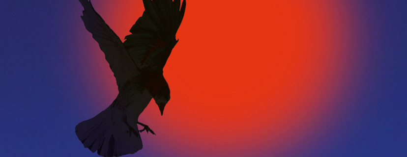 mastere_direction_artistique_nantes