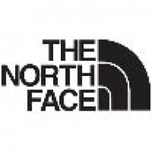 Logo the north face