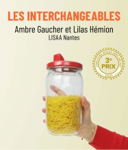 3e prix - Les interchangeables - Ambre Gauche et Lilas Hemion de LISAA Nantes 