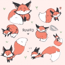 renard clip animé chorale Occitanie écologie renard clip animé chorale Occitanie écologie